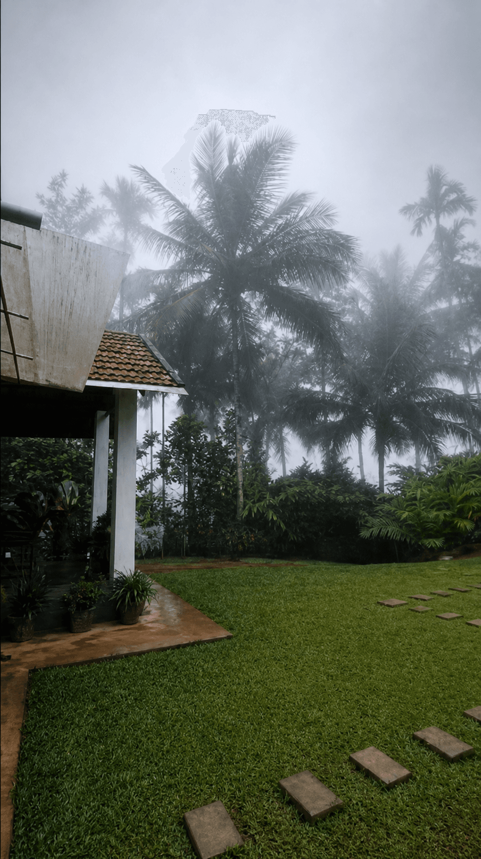 Mist on the verandah