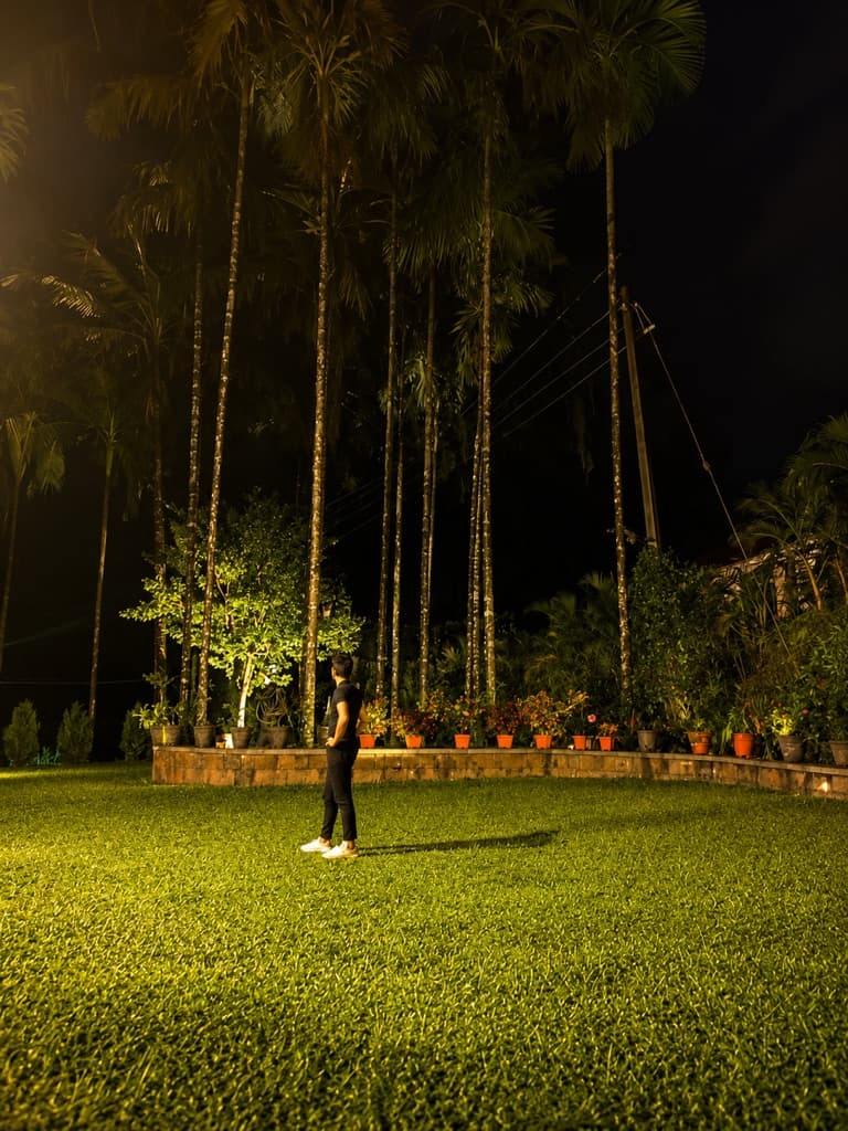 Stargazing from the lawn
