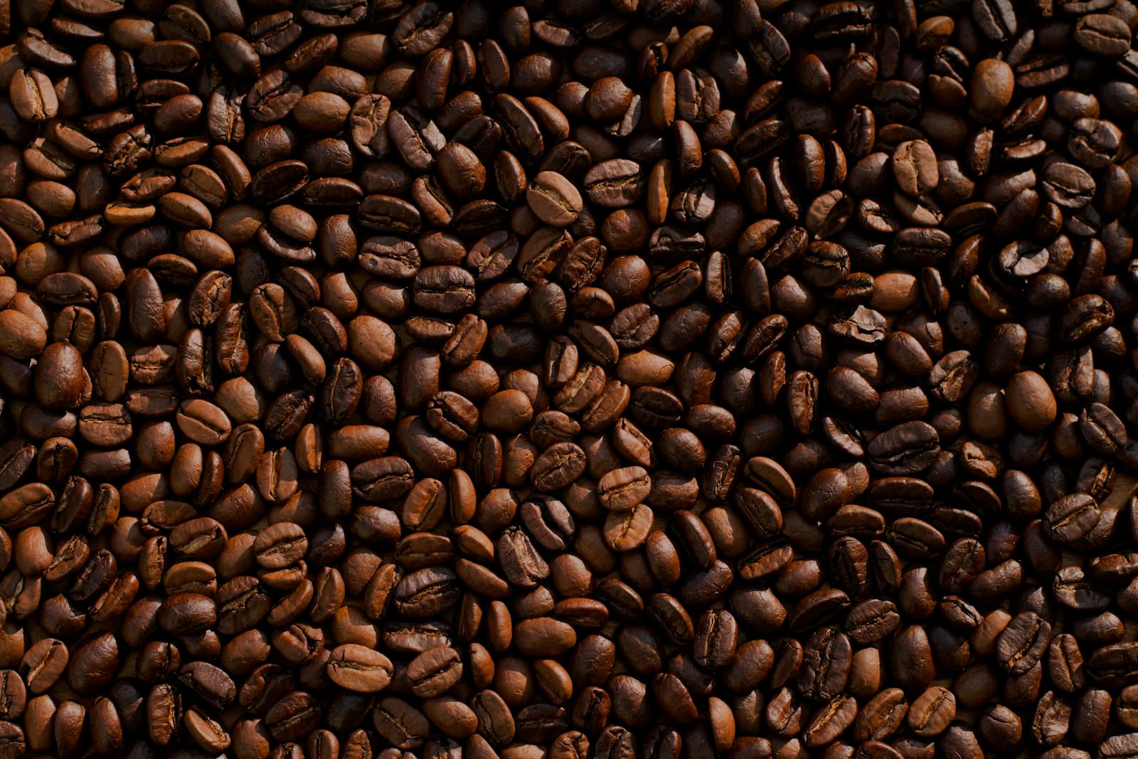 Roast and brew session