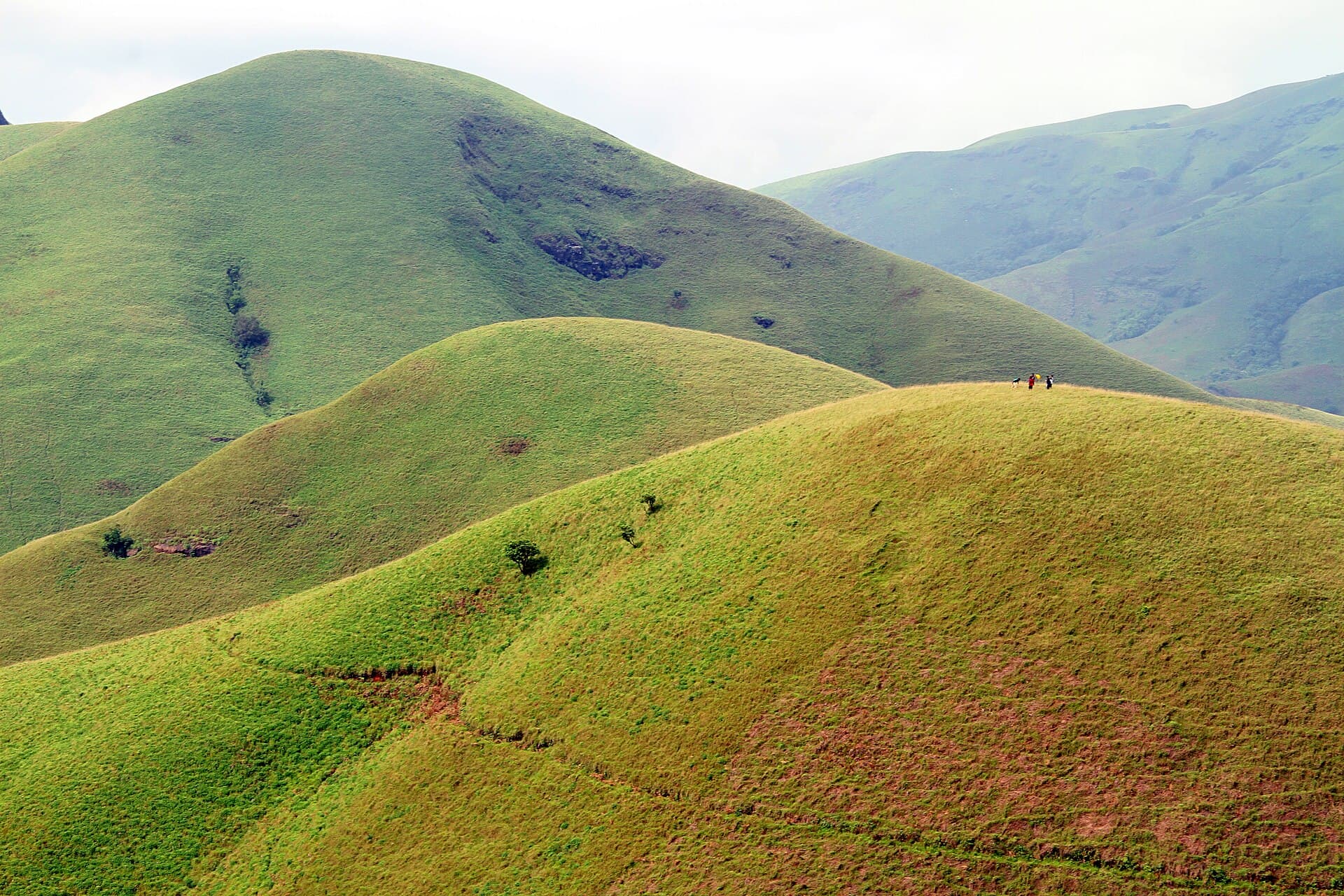 Things to do in Chikmagalur, honestly ranked
